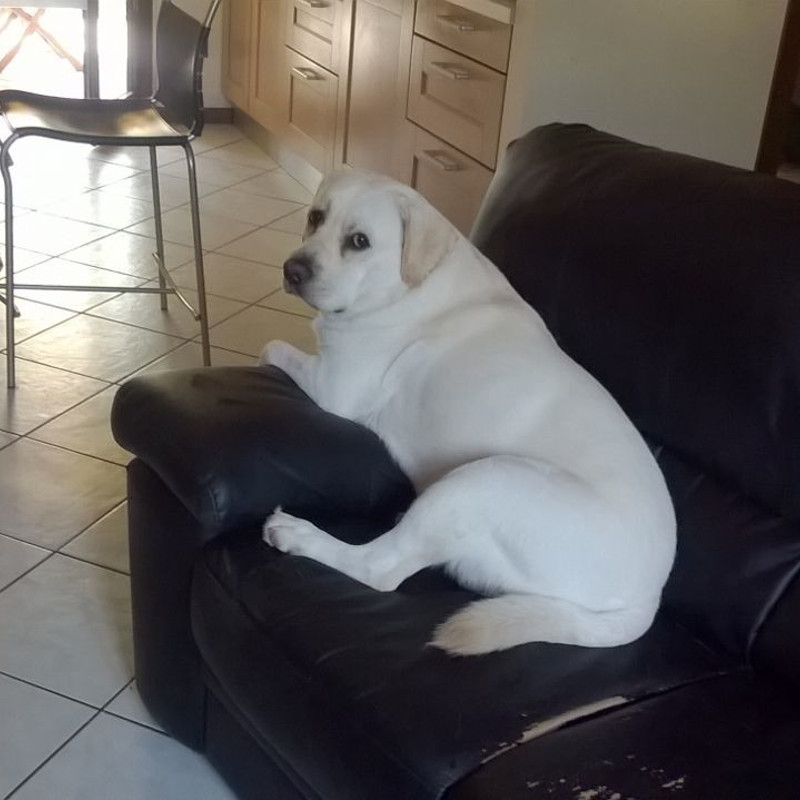 ...